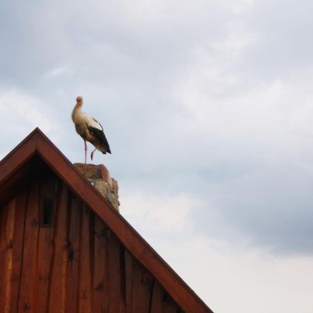 Pod Modrzewiem Pogorzelce Zewnętrze zdjęcie