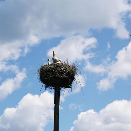 Pod Modrzewiem Pogorzelce Zewnętrze zdjęcie